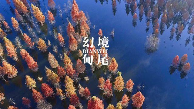省人大代表、淮阴工学院国际合作交流处处长左进:深度挖掘并用好红色文化资源
