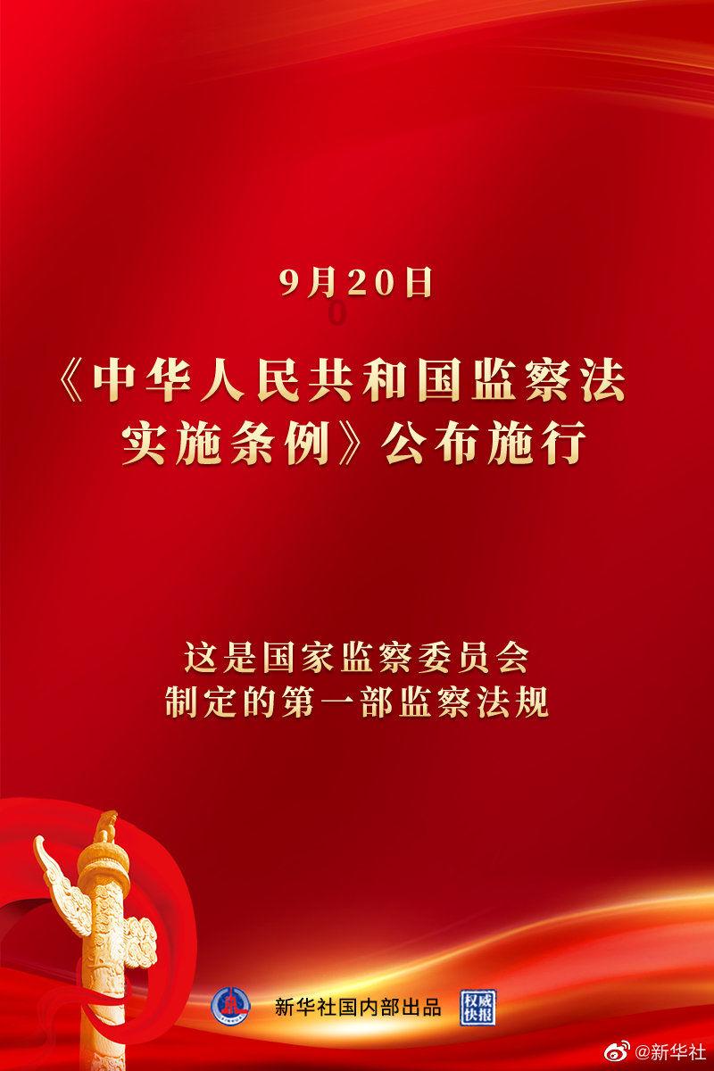可怜猫的救援